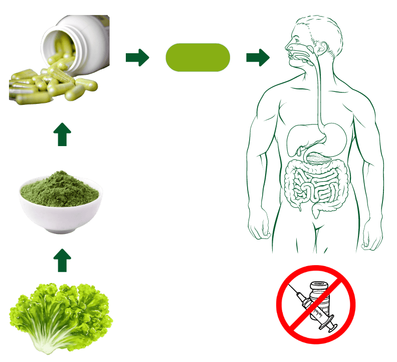 Biodrive Bioencapsulation Illustration